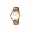 Urban Classic Small Silver Dial, Gold PVD Mesh Bracelet