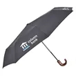 CEO Umbrella (4 Imprints)