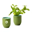Modern Sprout® Garden Vibes Candle/Planter