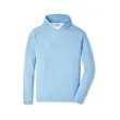 Peter Millar Men's Pine Sugar Stripe Performance Hoodie F25