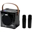 15W Karaoke Wireless Speaker with 2 Mics