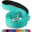 Double-Sided Reflective Dog Leash