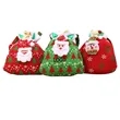 Christmas Gift Bag