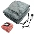 Car electric blanket