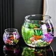 20 oz. Clear Plastic Fish Bowl