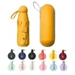 Mini Windproof Sun & Rain Pocket Umbrella With Case