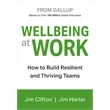 Wellbeing at Work (How to Build Resilient and Thriving Te...