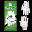 FootJoy WeatherSof Golf Glove