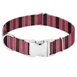 Sublimated Adjustable Pet Collar with Buckle Release