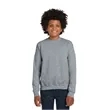 Gildan Youth Heavy Blend Crewneck Sweatshirt.