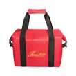 Collapsible Lunch Cooler Tote Bag