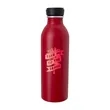 Good Value™ Vivid Aluminum Bottle - 17oz.