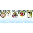 Custom Glass Photo Ornaments - Rectangle