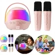 Wireless Bluetooth Karaoke Speaker with Dual Microphones