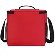 CUBIC 12-CAN INSULATED COOLER BAG