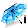 Auto Open Close Umbrella, Windproof Compact Travel Umbrella