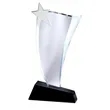Crystal Wave Award w/Silver Star