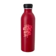 Good Value™ Vivid Aluminum Bottle - 17oz.