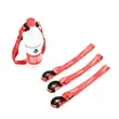 Adjustable Water Bottle Holder Lanyard