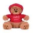 Plush Bear w/ Embroidered Paws and Hoodie