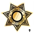 Seven Point Star Recognition Label