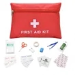 Mini First Aid Kit