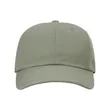 Richardson Sustainable Ashland Dad Hat