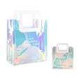 Clear Iridescent Handbag