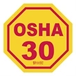 Octagon Yellow Vinyl Hard Hat Decal (1 3/4"x1 3/4")