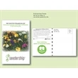 Wildflower Mixture 11 Variety Seed Postcard Mailer 4" x 6.5"
