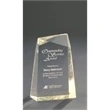 Gold Acrylic Facet Wedge Award