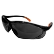 Belzig Safety Sunglasses (Smoke) w Case & Neck Strap