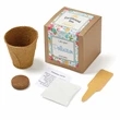 Wildflower Seed Growable Planter Kit