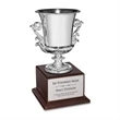 Award Cup - Silver