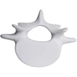 Vertebrae Stress Reliever