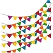 Colorful Birthday Party  Pennant With Rush Service