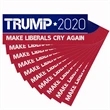 Trump Election Car Bumper