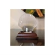 Crystal Seashell with Base