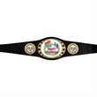 Small Custom Championship Belts