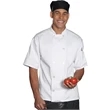 10 Button Short Sleeve Chef Coat