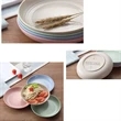 Wheat Straw Creative Plates