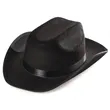 Cowboy Hat
