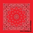 Grande Paisley Bandana - USA Made