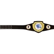 Shield Championship Belts