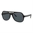 Ray-Ban Powderhorn Sunglasses