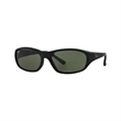Ray-Ban Daddy-O II Sunglasses