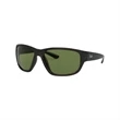 Ray-Ban Polarized RB4300 Sunglasses