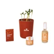 Modern Sprout® Shine Bright Take Care Kit - Sunflower