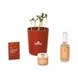 Modern Sprout® Shine Bright Take Care Kit - Sunflower
