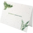 Evergreen Greetings Business Holiday Cards